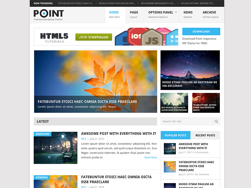 point-theme